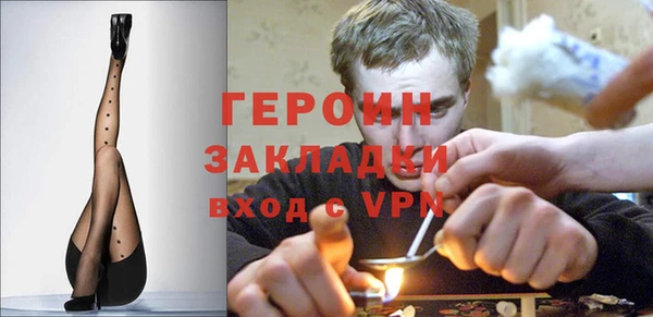 прущие грибы Няндома