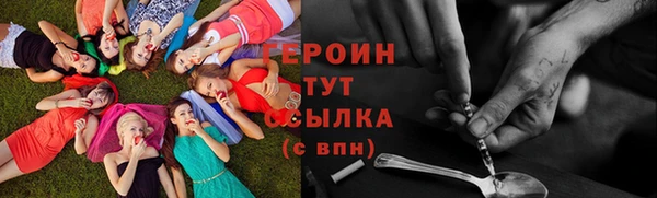 прущие грибы Няндома