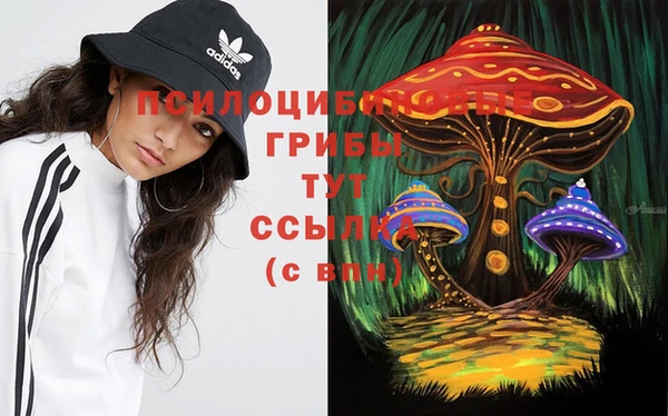 скорость Нягань