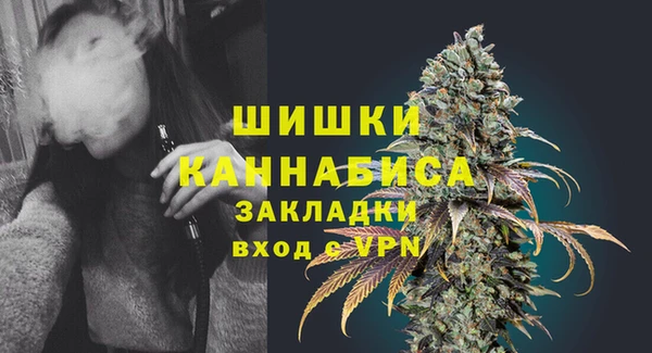 прущие грибы Няндома