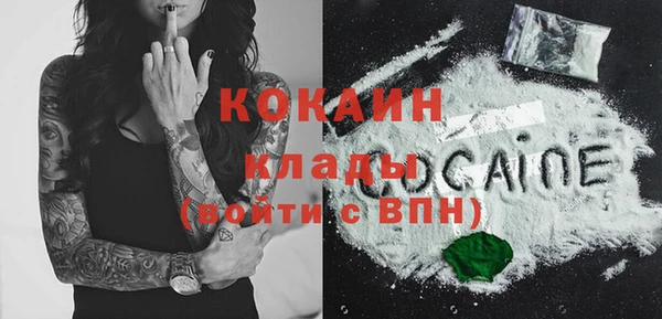 прущие грибы Няндома