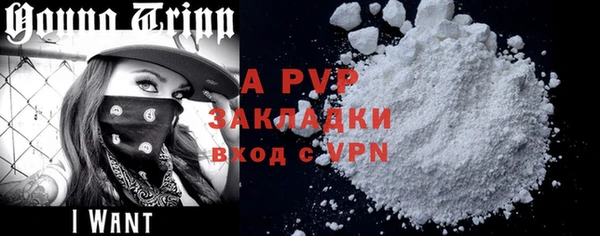 прущие грибы Няндома