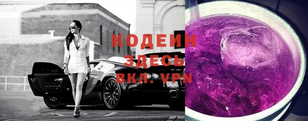 прущие грибы Няндома