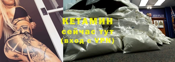 прущие грибы Няндома